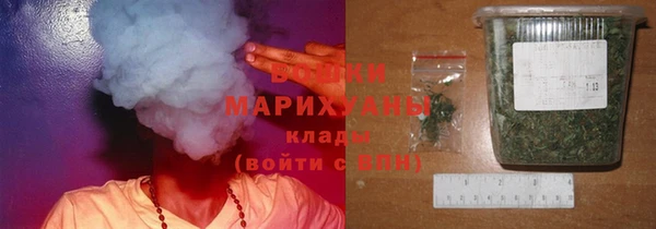 сатива Алзамай